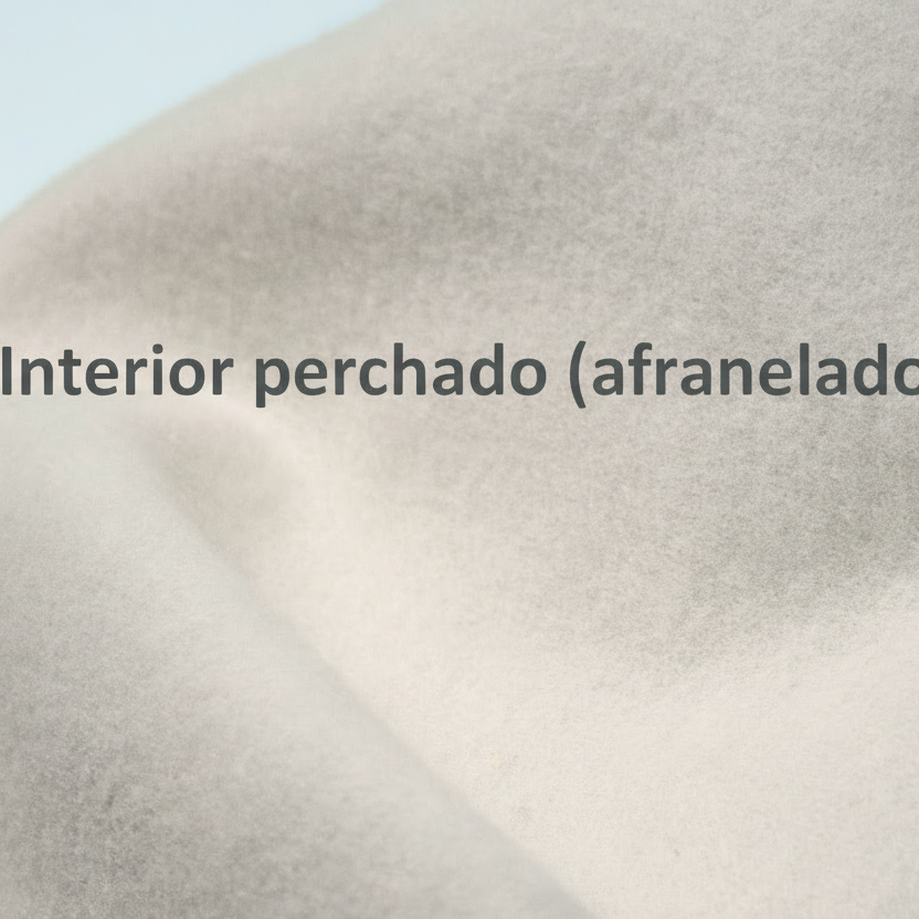 Poleras de Franela Damas
